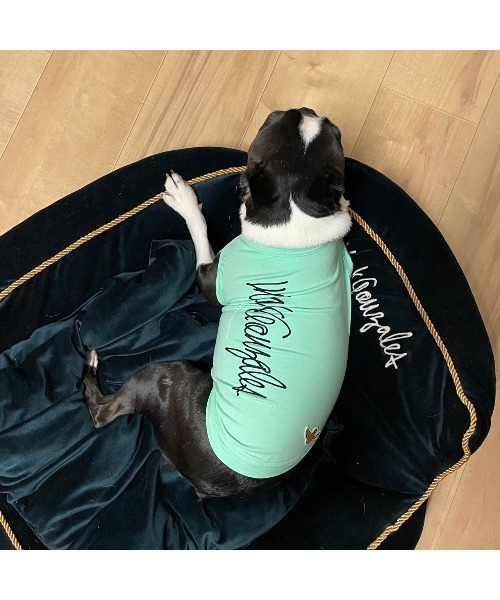 Mark Gonzales（マークゴンザレス） 犬 服 「MAiTE by Mark Gonzales