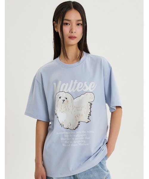 HERMES    極品❗️上質綿Tシャツ カモメプリントTシャツ – EVISU
