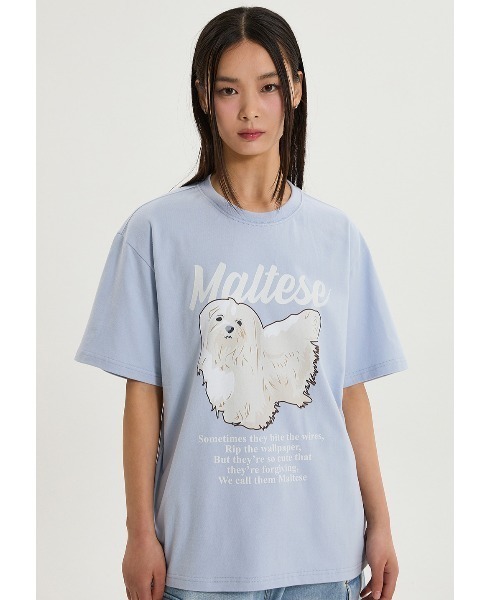tシャツ A'GEM/9 × .kom 「WaiKei/ワイケイ」ルムイラストレーションラグランハーフスリーブTシャツ レディース メンズ A'GEM/9 × .kom 『WaiKei/ワイケイ』ルムイラストレーション