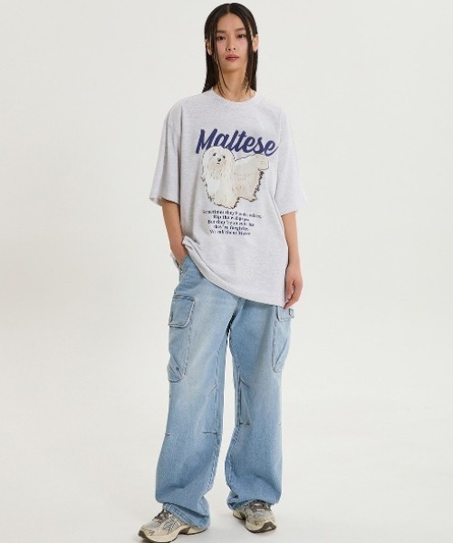 tシャツ A'GEM/9 × .kom 「WaiKei/ワイケイ」ルムイラストレーションラグランハーフスリーブTシャツ レディース メンズ WaiKei tシャツ A'GEM/9 × .kom 「WaiKei/ワイケイ」 Maltese