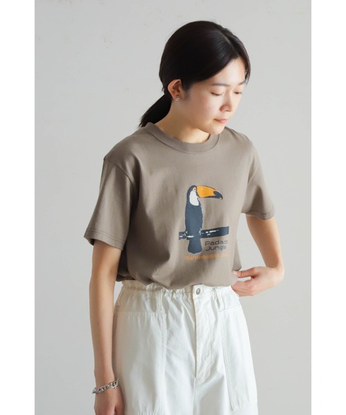 tシャツ オオハシPT　クルーネックTEE レディース