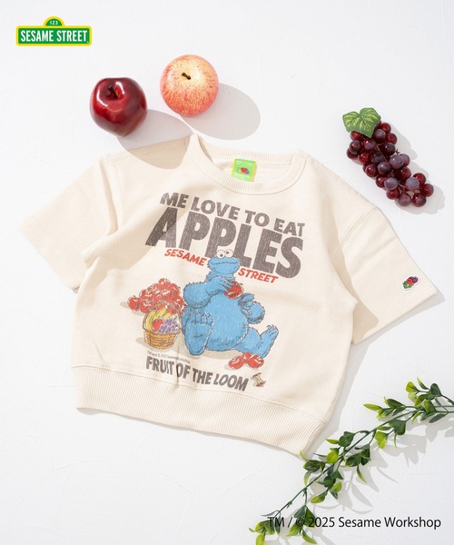 FRUIT OF THE LOOM（フルーツオブザルーム） トレーナー ハーフ