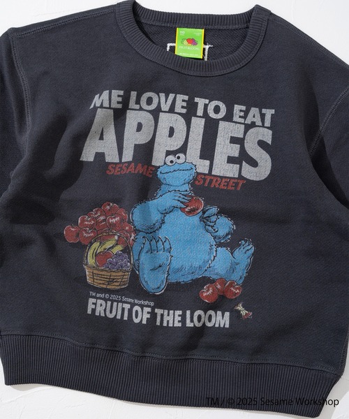 FRUIT OF THE LOOM（フルーツオブザルーム） トレーナー ハーフ