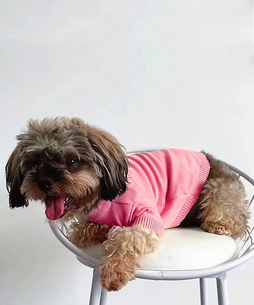 ONEKOSAMA OINUSAMA（おねこさま・おいぬさま） 犬 服 COOLDOGニット
