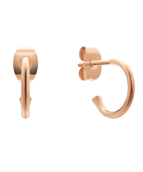 Daniel Wellington（ダニエルウェリントン） ピアス Charm Eariing