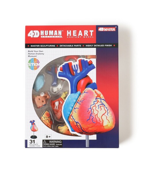 4d HUMANのおすすめ人気商品一覧 通販 - Yahoo!ショッピング