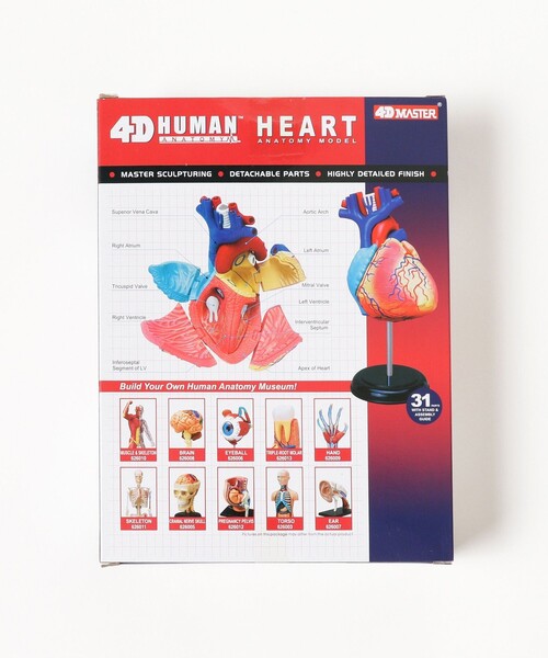 4d HUMANのおすすめ人気商品一覧 通販 - Yahoo!ショッピング