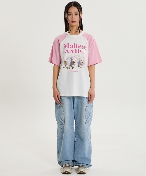 ★WAIKEI★ Maltese Archive Raglan Short Sleeve T-Shirt Beige WAIKEI Maltese Archive Raglan Half Sleeve T-shirt Beige