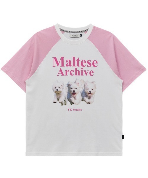★WAIKEI★ Maltese Archive Raglan Short Sleeve T-Shirt Beige WAIKEI Maltese Archive Raglan Half Sleeve T-shirt Beige