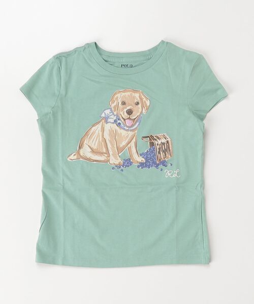 tシャツ ドッグプリント コットン ジャージー Tシャツ キッズ 子供服 女の子の画像