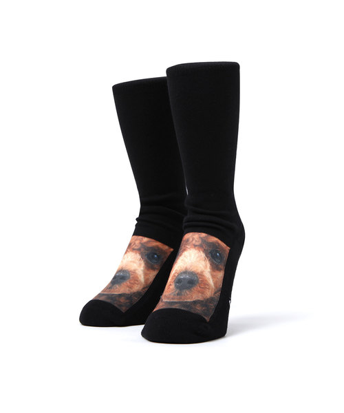 靴下 Inu イヌ ソックス メンズ クルー 安い 激安 プチプラ 高品質