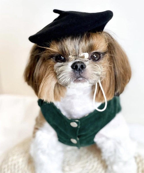 ONEKOSAMA OINUSAMA（おねこさま・おいぬさま） 犬 服 ペット ベレー帽