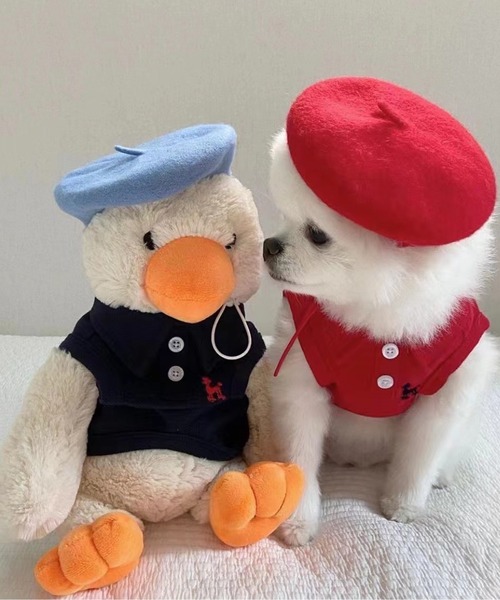 ONEKOSAMA OINUSAMA（おねこさま・おいぬさま） 犬 服 ペット ベレー帽