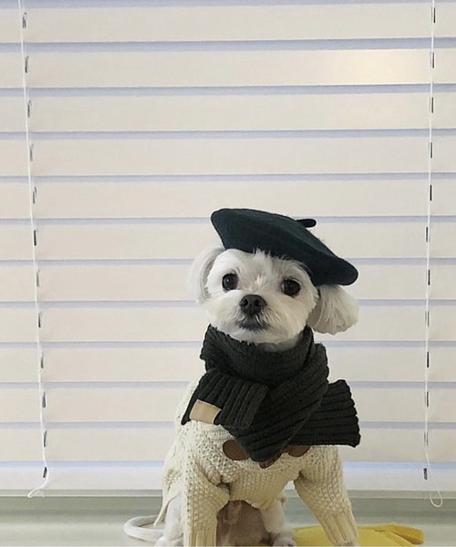 ONEKOSAMA OINUSAMA（おねこさま・おいぬさま） 犬 服 ペット ベレー帽