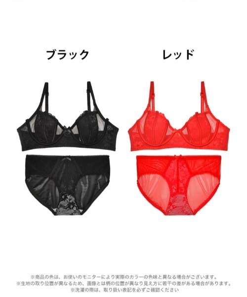 ブラジャー ショーツセット シースルーディープフラワー ＆ バック透け 