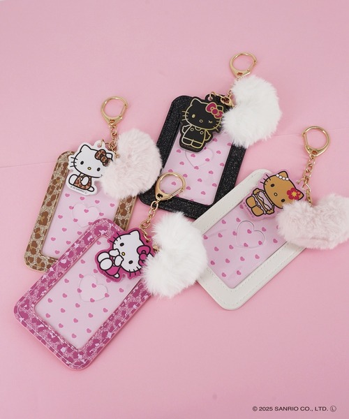 さゆみさま専用　(5/18まで出品)トランジット 5冊セット sanrio（サンリオ） パスケース Sanrio characters(サンリオ