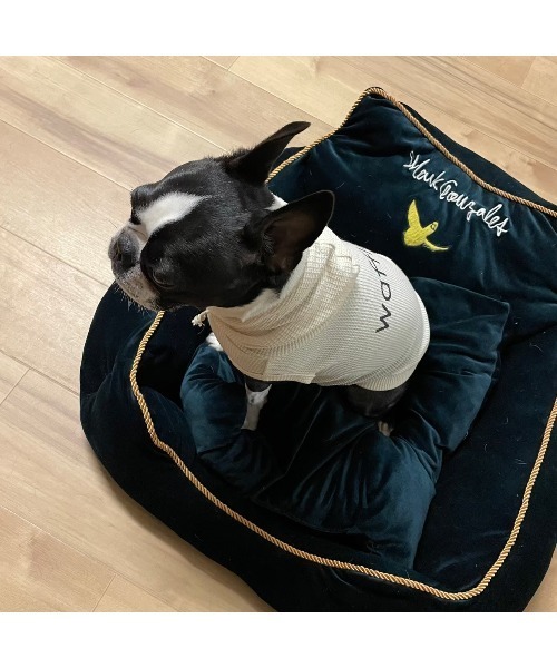 TONE（トネ） 犬 服 「MAiTE by Mark Gonzales」Waffl(MA) : ZOZOTOWN