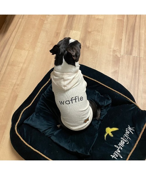 TONE（トネ） 犬 服 「MAiTE by Mark Gonzales」Waffl(MA) : ZOZOTOWN