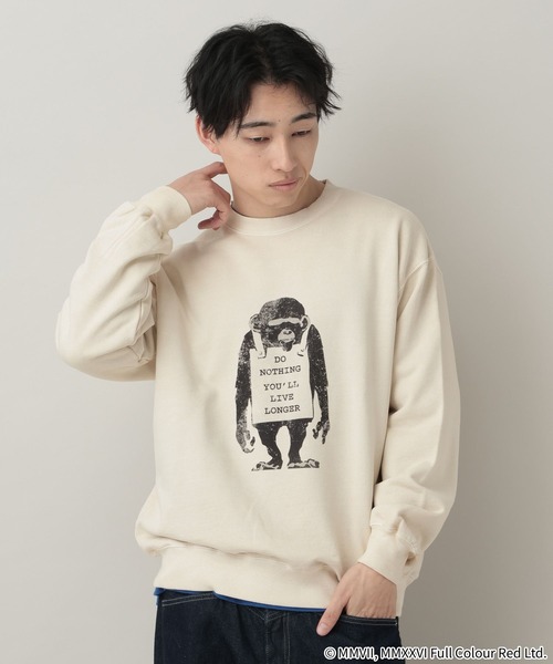 RAGEBLUE（レイジブルー） トレーナー スウェット BRANDALISED / 裏毛