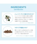 エコストア ecostore / トゥースペー...の詳細画像5