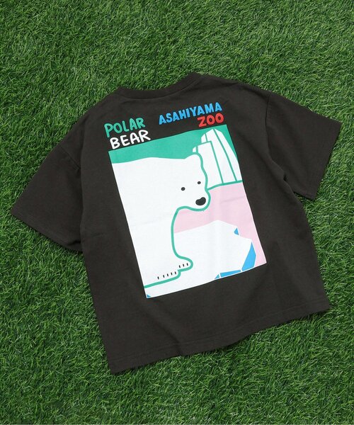 BREEZE（ブリーズ） tシャツ 「リンク」旭山動物園応援商品