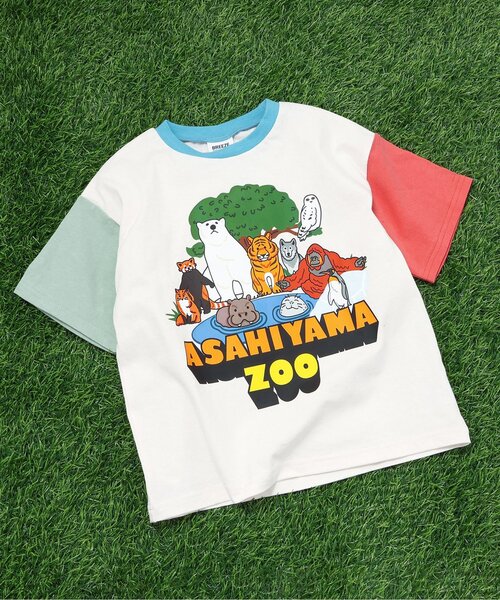 BREEZE（ブリーズ） tシャツ 「リンク」旭山動物園応援商品