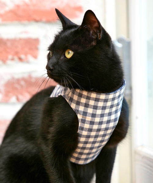 ハンドルベスト ねこいっぱい柄｜ ペット用品の通販サイト ペピイ