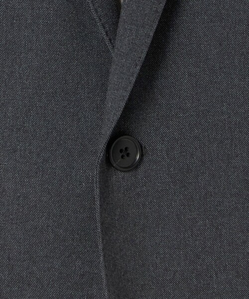 A DAY IN THE LIFE セットアップ シャークスキン 2ボタン セットアップ