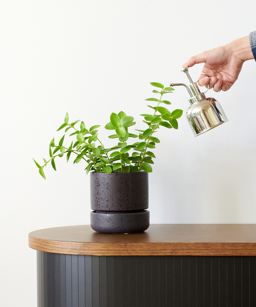 journal standard Furniture（ジャーナル スタンダード ファニチャー