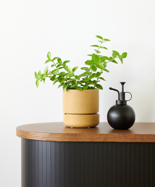 journal standard Furniture（ジャーナル スタンダード ファニチャー