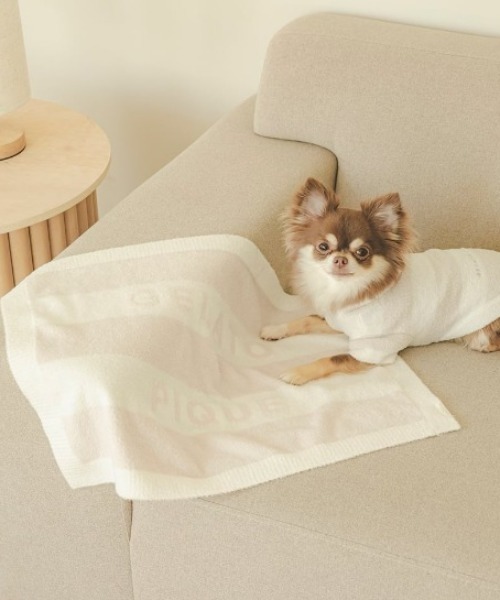 RALPH LAUREN HOME（ラルフ ローレン ホーム） 犬 服 Polo ベア ウール