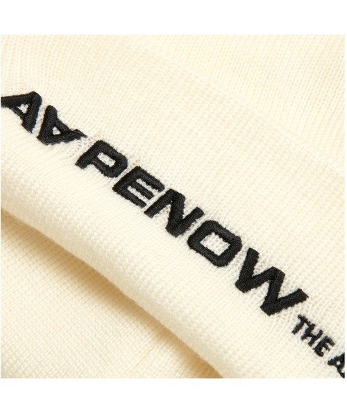 AAPE BY A BATHING APE（エーエイプバイアベイシングエイプ） ニット帽