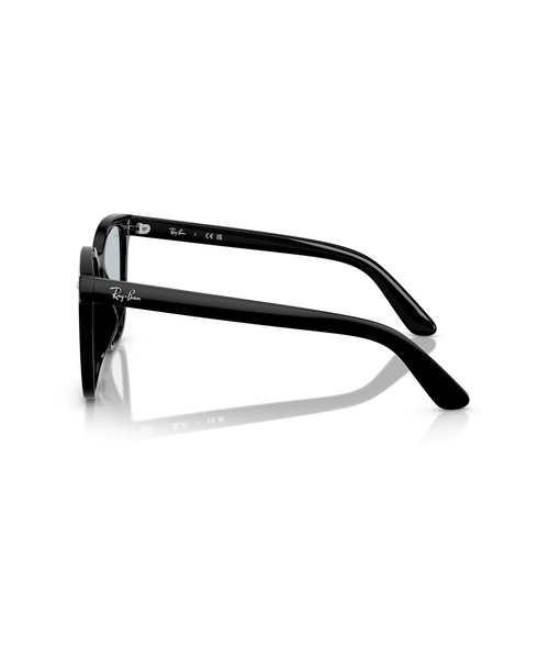 Ray-Ban（レイバン） サングラス サングラス 0RB4401D (アジアン