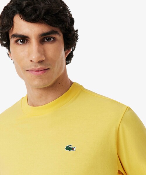 LACOSTE（ラコステ） tシャツ ゴルフグラフィックバックプリント