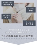 入学式 サロニア SALONIA サロニア ピ...の詳細画像3