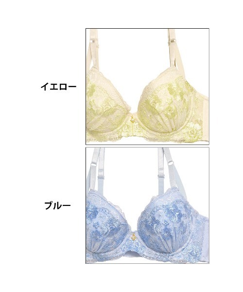 ブラジャー ショーツセット ファンシー ブルーミング 育乳 脇高