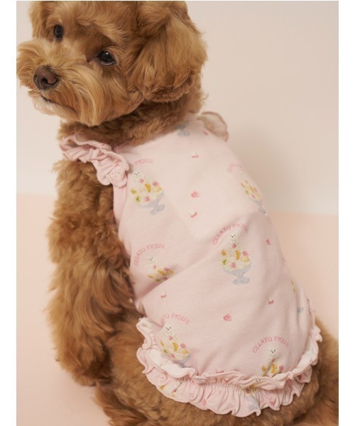 snow peak（スノーピーク） 犬 服 Snow Peak / Dog Down Jacket ドッグ