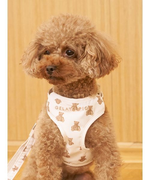 gelato pique 犬 ハーネス リード 「CAT＆DOG」背中あきハーネス