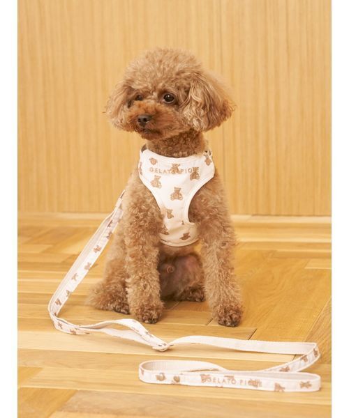 gelato pique 犬 ハーネス リード 「CAT＆DOG」背中あきハーネス
