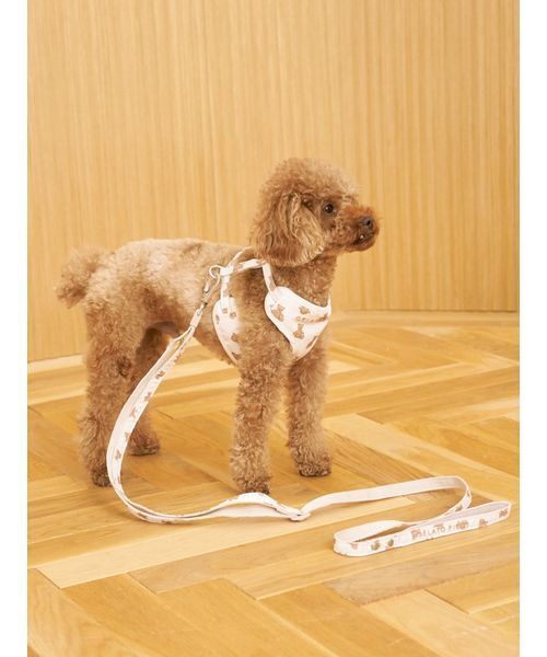 gelato pique 犬 ハーネス リード 「CAT＆DOG」背中あきハーネス