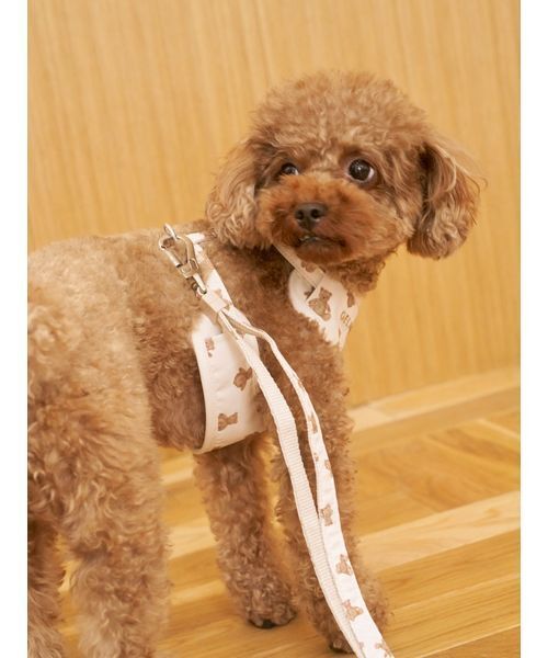 ジェラートピケ　ジェラピケ　ハーネス　リード　セット　M gelato pique 犬 ハーネス リード 「CAT＆DOG」「販路限定商品