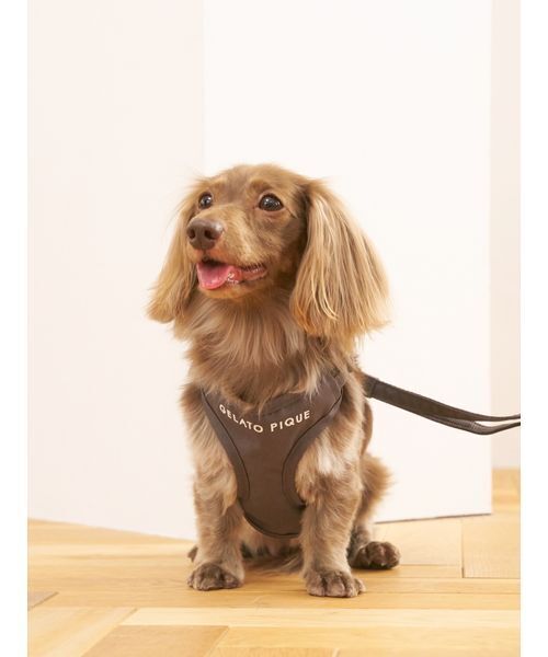 gelato pique 犬 ハーネス リード 「CAT＆DOG」背中あきハーネス