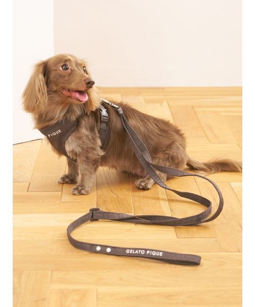 ジェラピケ　小型犬用ハーネス&リード gelato pique 犬 ハーネス リード 「CAT＆DOG」「販路限定商品