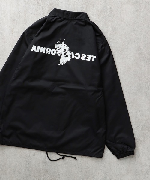 「The Endless Summer」 コーチジャケット X-LARGE ブラウン メンズ_画像2