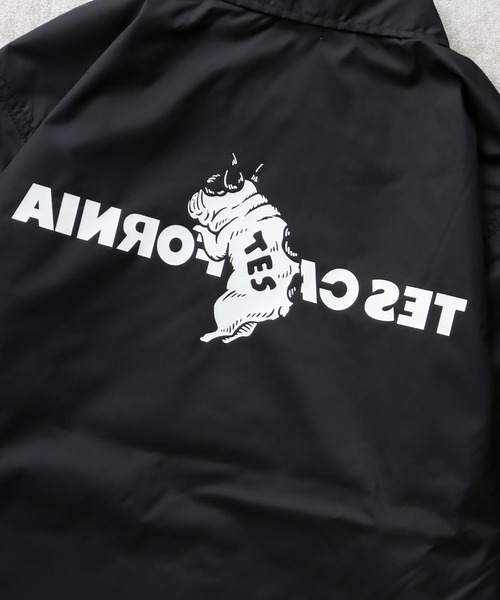 「The Endless Summer」 コーチジャケット X-LARGE ブラウン メンズ_画像6