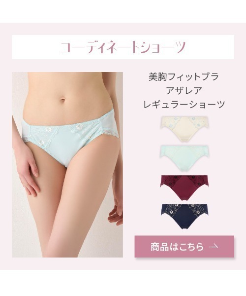 Triumph（トリンプ） ブラジャー 美胸フィットブラ アザレア