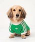 �A�f�B�_�X�@adidas �� �� �y�b�g �J�� T�V���c / �A�f�B�_�X�I���W�i���X adidas Originals �֘A�摜2