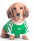�A�f�B�_�X�@adidas �� �� �y�b�g �J�� T�V���c / �A�f�B�_�X�I���W�i���X adidas Originals �֘A�摜1