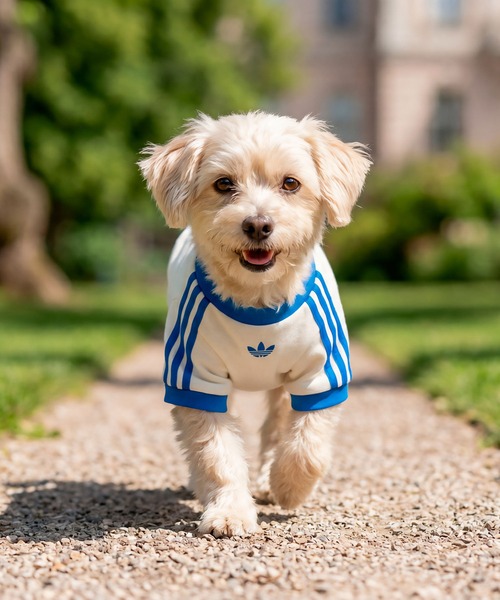 adidas（アディダス） 犬 服 ペット カリ Tシャツ / アディダス