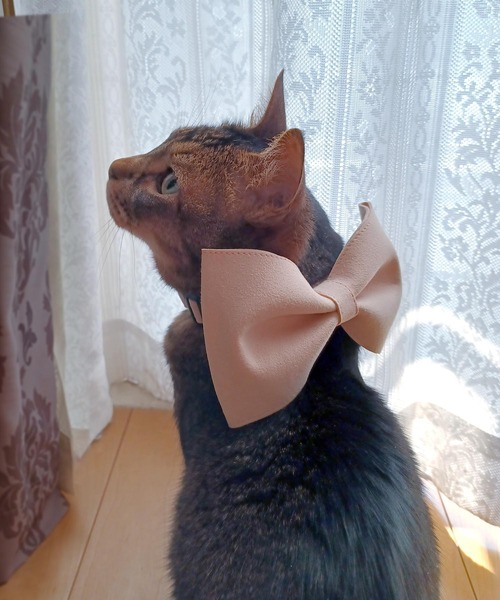 ONEKOSAMA OINUSAMA（おねこさま・おいぬさま） 犬 ハーネス リード